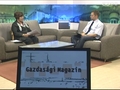 Gazdas�gi magazin - 2011. janu�r 19.
