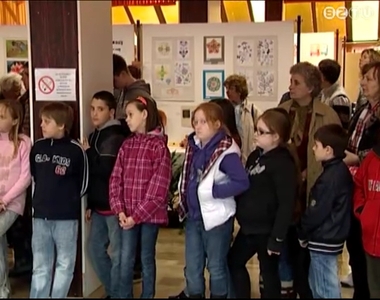 Testvrmzsk tallkozsa a Bercsnyi-iskolban