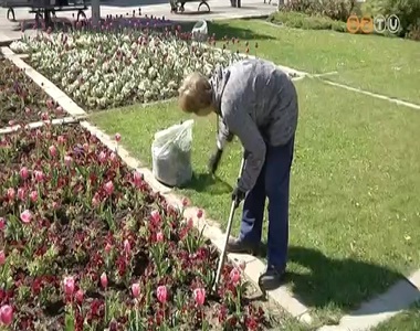 Gyomlálják a virágágyásokat, nyírják a füvet, metszik a fákat Gyomlálják a virágágyásokat, nyírják a füvet, metszik a fákat