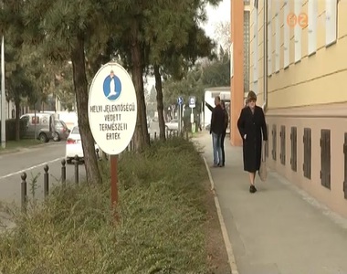 Táblák kerültek ki a helyi védettség alá került parkokba és fák mellé Táblák kerültek ki a helyi védettség alá került parkokba és fák mellé