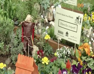 Szent Márton kertje Szent Márton kertje