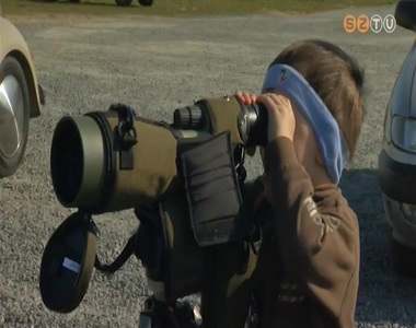Madármegfigyelő napot tartottak az Abért-tónál Madármegfigyelő napot tartottak az Abért-tónál