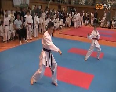 12 darab Leo Karate-do SE rem