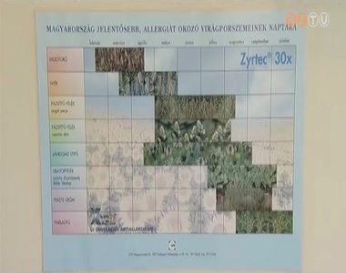 Szokatlanul korán indult a tavaszi pollenszezon Szokatlanul korán indult a tavaszi pollenszezon