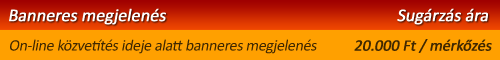 online2.png
