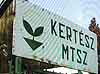 Megsz�nt a Kert�sz MTSZ