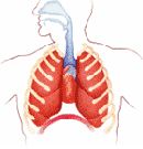 Megjelent a gy�gy�thatatlan TBC