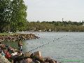 T�l tiszta a Balaton