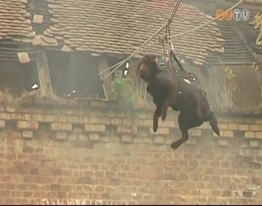 Katasztr�fav�delmi gyakorlat