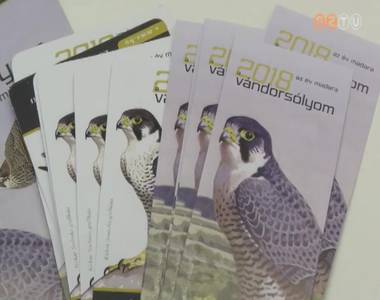 A v�ndors�lyom az �v madara