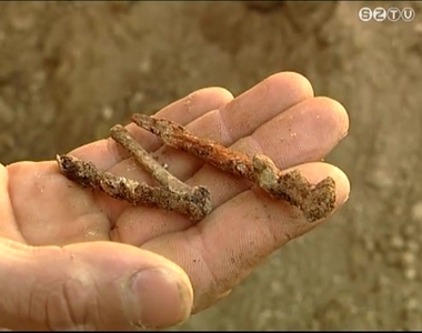 Tifusz is okozhatta a hallukat