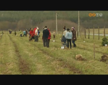 Parkerd�t l�tes�tenek Dozmaton