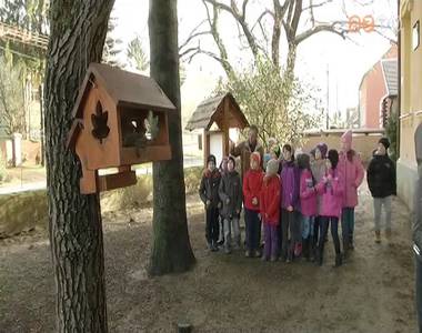 T�li gondoskod�s