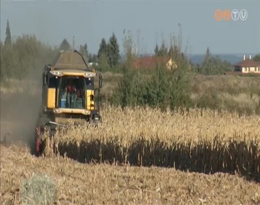 11%-kal nőtt az agrárium árbevétele 2013-ban a 2012-es évhez képest 11%-kal nőtt az agrárium árbevétele 2013-ban a 2012-es évhez képest