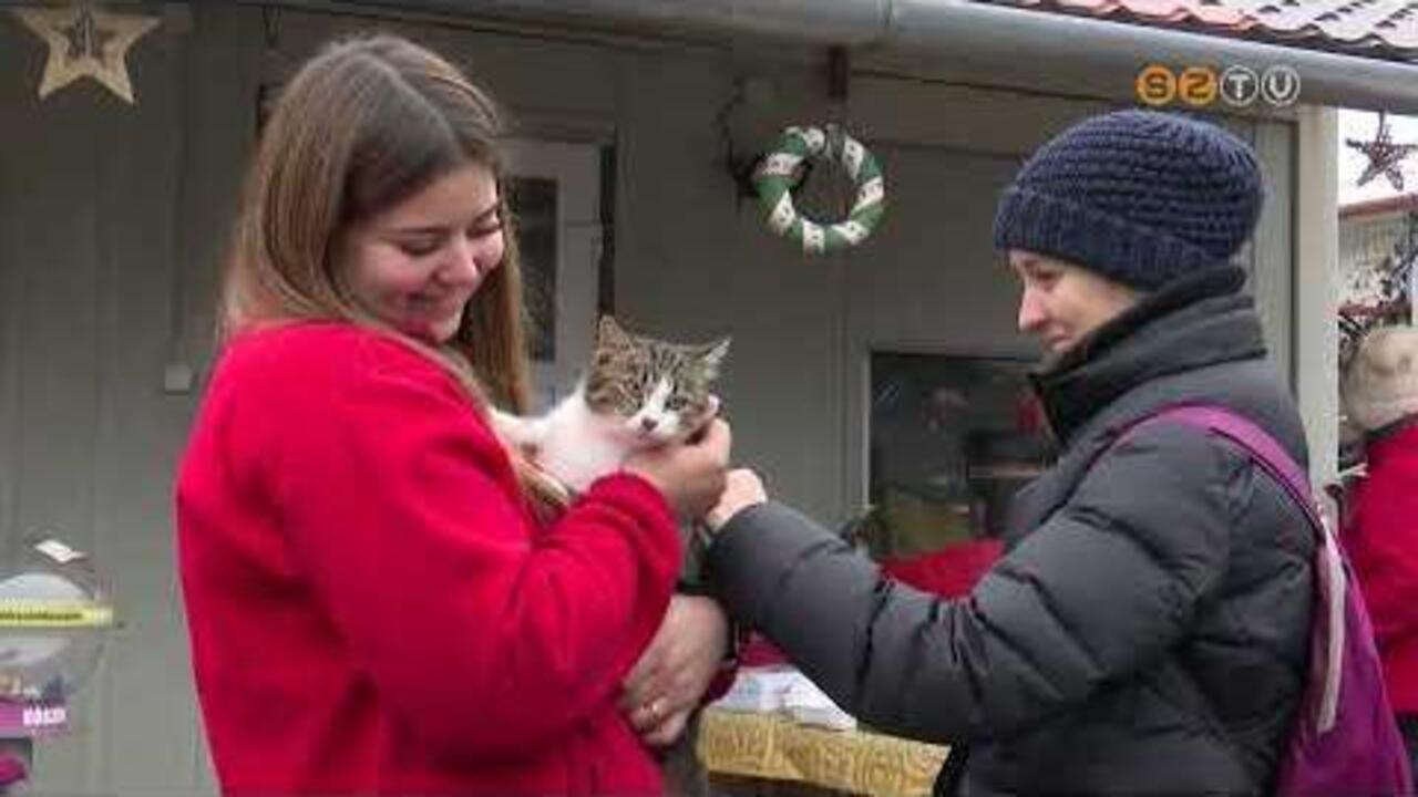 Sokan adom�nyoztak a Fekete Istv�n �llatv�d� Egyes�let idei Angyalkav�r� programj�n