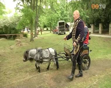 VI. Magyar Lovas Hadt�rt�neti Bemutat�