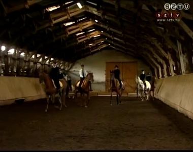 Csekonics napok Kőszegen Csekonics napok Kőszegen