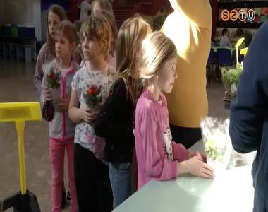 N�napi vir�gv�s�r Oladon