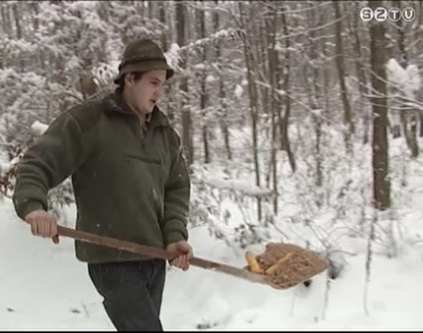 Az enyhe időjárás miatt kevesebb takarmányt kell venniük a vadásztársaságoknak Az enyhe időjárás miatt kevesebb takarmányt kell venniük a vadásztársaságoknak