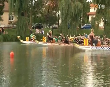 S�rk�nyhaj� Fesztiv�l