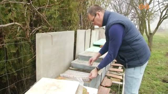 2020-ban növekszik a méhészetek támogatását szolgáló összeg 2020-ban növekszik a méhészetek támogatását szolgáló összeg