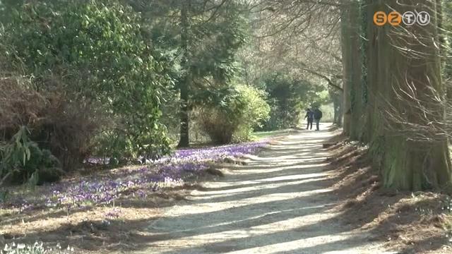 Nem csak papíron köszöntött be március 1-jével a meteorológiai tavasz Nem csak papíron köszöntött be március 1-jével a meteorológiai tavasz