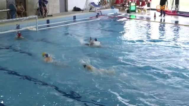 Magabiztos győzelmet arattak az Aligátorok Magabiztos győzelmet arattak az Aligátorok