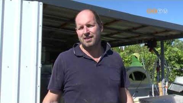 Napstses, igazi szlrlel idben zajlott a terms betakartsa a Bene-hegyi t mellett