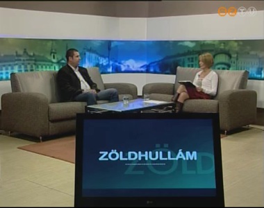 Z�ldhull�m - 2012. okt�ber 25.