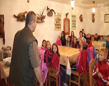 K�lhoni magyar kisdi�kokat t�boroztat a Szombathelyi Erd�szeti Zrt.