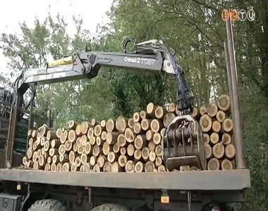 Olcsóbb a tűzifa Olcsóbb a tűzifa