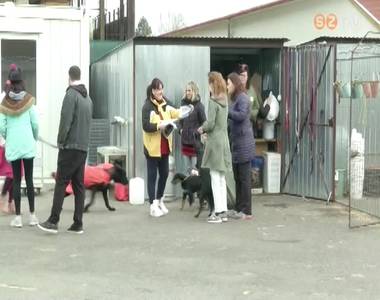 Rendhagy� kuty�s farsangi s�t�t szervezett a Fekete Istv�n �llatv�d� Egyes�let