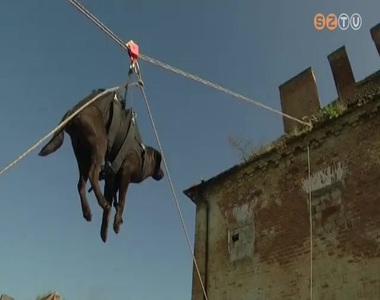 K�z�s ment�-katasztr�fav�d� gyakorlat