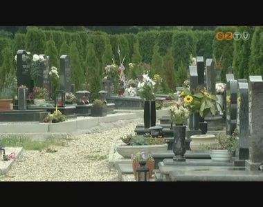 Vadkilövés a temetőben Vadkilövés a temetőben