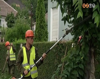 Parkfenntart�si munk�latok