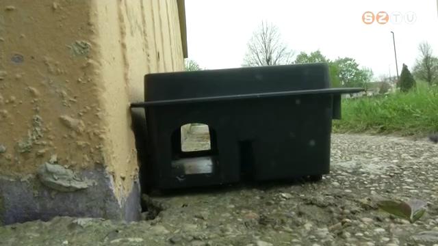 Végéhez közelednek a tavaszi rágcsálóirtási munkálatok Szombathelyen Végéhez közelednek a tavaszi rágcsálóirtási munkálatok Szombathelyen