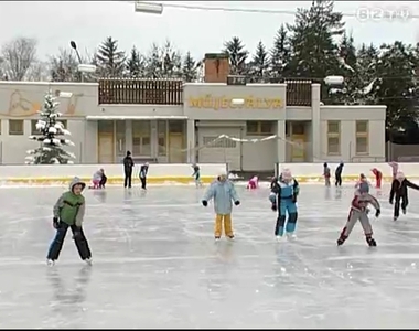 Téli életképek Téli életképek