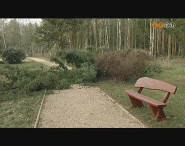 Az orkánerejű szél az arborétum faállományát is megtépázta Az orkánerejű szél az arborétum faállományát is megtépázta