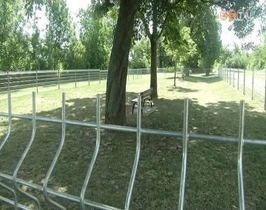 Kutyafuttat� a r�gi laktanya mellett