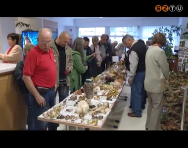 20 �ves jubileum�t �nnepli a Szombathelyi Gomba- �s Gy�gyn�v�nygy�jt� Klub