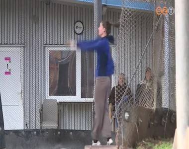 H�romhetes d�l-afrikai edz�t�boroz�s ut�n t�rtek haza a Dob� SE sportol�i