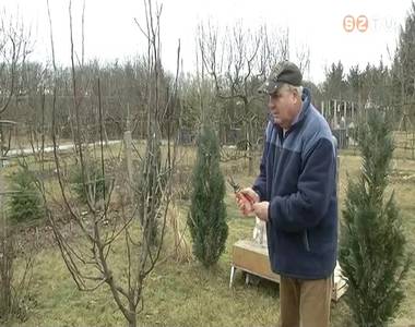 �ledeznek a kertek