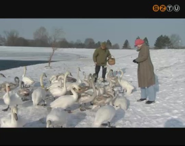 Hatty�k a f��tvonalon