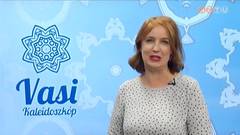 Vasi Kaleidoszkóp - 2018. október 19.