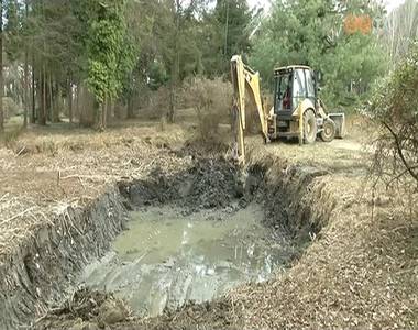 Iszaptalan�t�s az arbor�tumban