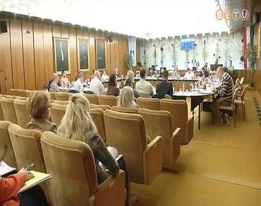 Gazdas�gi bizotts�gi �l�s