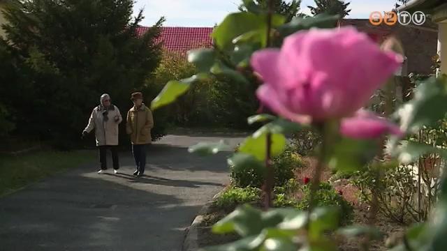 Idősgondozás az evangélikusoknál Idősgondozás az evangélikusoknál