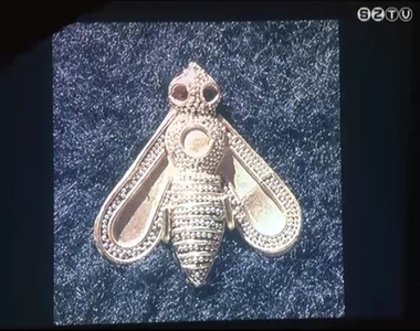 Rovarok - ecsettel �s v�s�vel