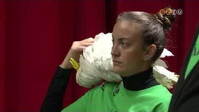 Háromnapos díszmadár-kiállítást szerveztek az Oladi Technikum csarnokában Háromnapos díszmadár-kiállítást szerveztek az Oladi Technikum csarnokában