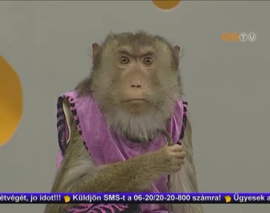 H�tv�ge - 2013. m�rcius 22.